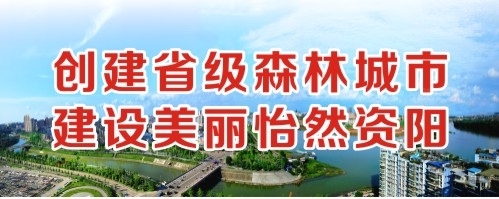 鸡巴操逼淫创建省级森林城市 建设美丽怡然资阳