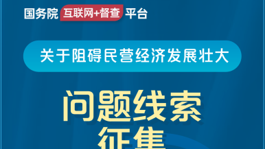 入我逼吧爹视频国务院“互联网+督查”平台公开征集阻碍民营经济发展壮大问题线索